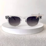 Benjamin clear frame acetate sunglasses with black nylon lenses